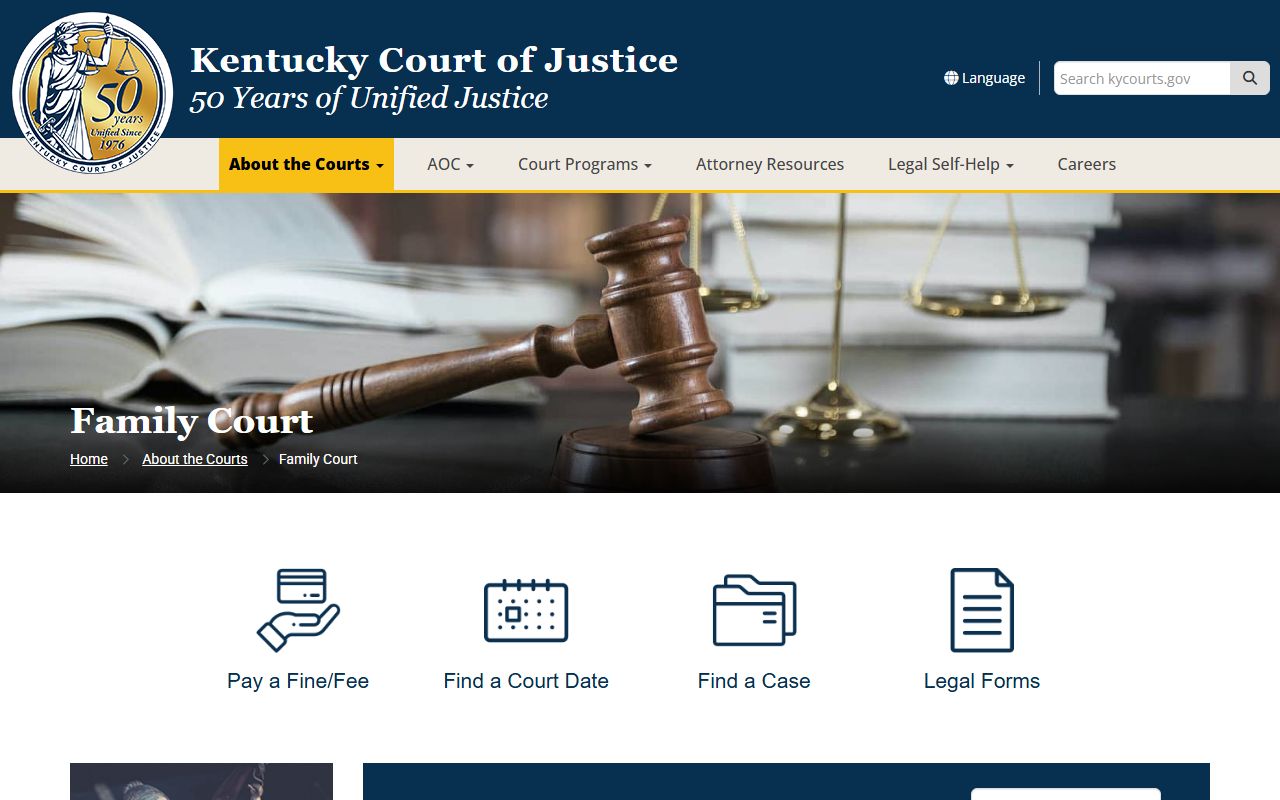 Mason County court records Family Court jurisdiction